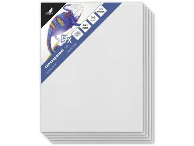 Canvaspaneel 24X30 Cm Set 5 stuks