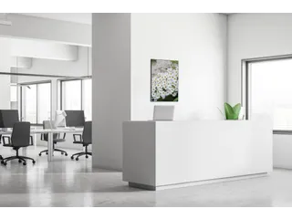 Wanddecoratie Textiel Set A1 Witte Bloem Spirea - 4