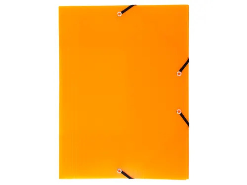 Exacompta Elastomap Linicolor PP A4 Assorti