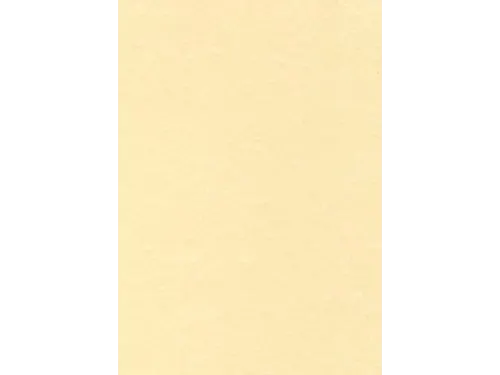 Decadry Structuurpapier Champagne A4