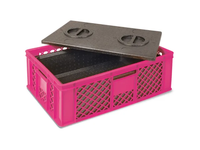 Euronorm-stapelbak,m. isoleerbox,HxLxB 240x600x400mm,20l,PE,violet