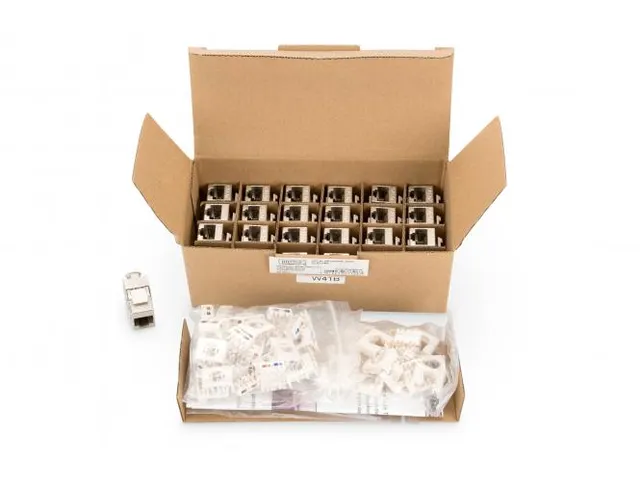 CAT 6A Keystone module afgeschermd gereedschapsloze montageaansluiting