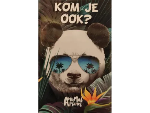 Uitnodigingen Panda 13.5x9cm