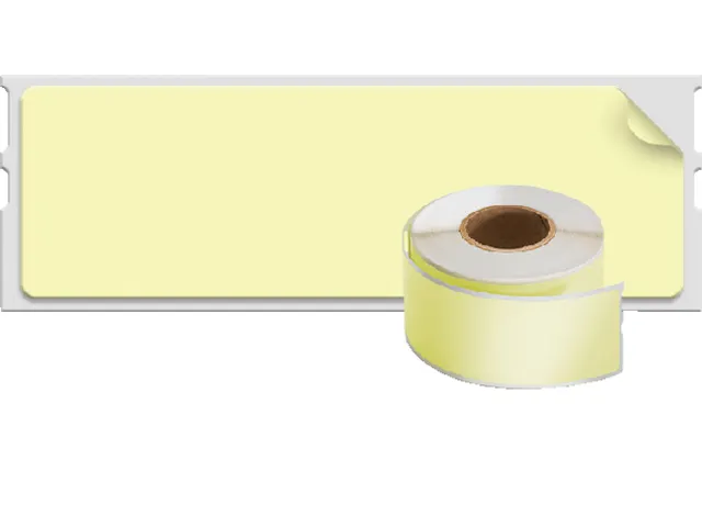 Etiket Dymo 99011 assortiment kleurenetiketten 28x89mm