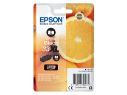 Inktcartridge Epson 33XL T3361 foto zwart HC C13T33614012