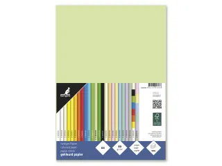 Papier Kangaro A4 80grs lichtgroen pak 100 vel - 2