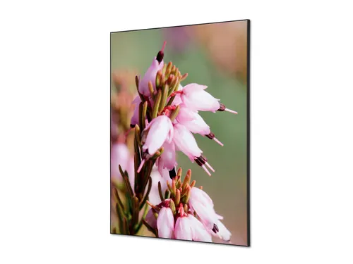 Wanddecoratie Textiel Set A1 Roze Bloem Erica