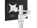 Viewlite Monitorarm 58.120 Wit