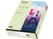 Inapa Tecno colors Gekleurd papier A4 Licht Groen 160 gram 250vel