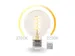 Smart Wifi-Ledlamp - Warmwit & Intens Warmwit - E27 - G95
