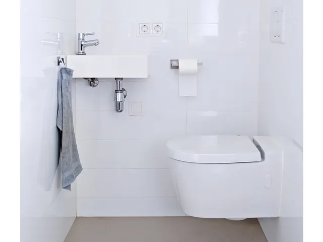 Sanitairreiniger HG Alledag spray 500ml