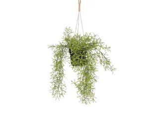 Kunstplant Mica Rhipsalis hangend in pot groen 40x20cm - 2