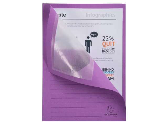 50 Venstermappen Forever 22x31cm Assorti