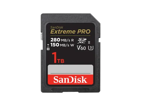 SanDisk SDSDXEP-1T00-GN4IN flashgeheugen 1 TB SDXC UHS-II Klasse 10