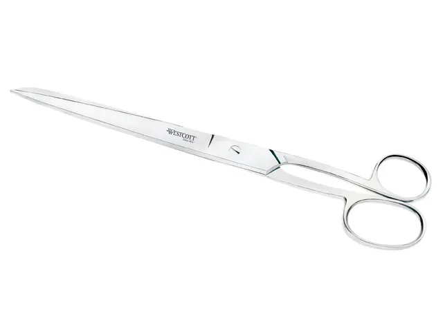 Schaar Westcott 25cm RVS glanzend