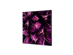 Wanddecoratie Textiel Set 40x40cm Cactus Paars