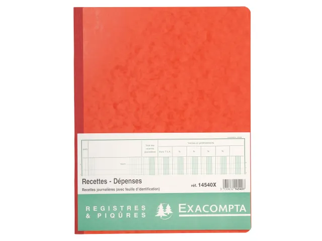 Piqure 32x25 Recette s-Depenses 80 bl