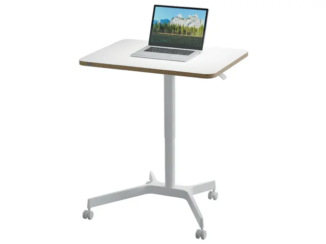Leitz Ergo Zit-Sta bureau Mobiel 80x60cm klein