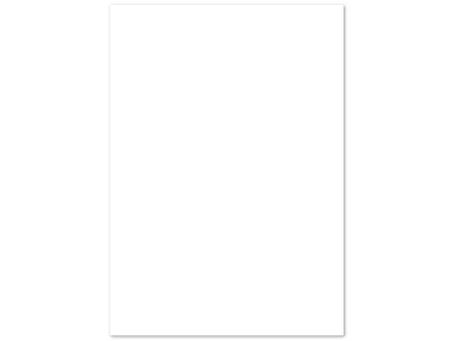 Kopieerpapier PaperWise A3 wit 80 gram doos a 5 pakken