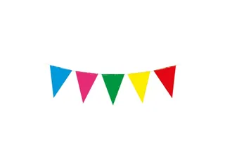 Party Flag PE Multi Colour - 1