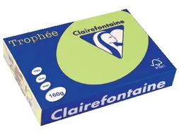Trophée Pastel gekleurd papier A4 160 gram 250vel Golfgroen