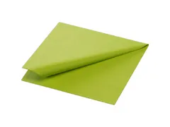 Tissue servet 24x24cm Kiwi 2-laags 8x300 stuks