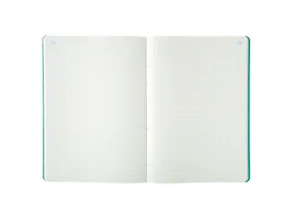 Piqure 29,7x21 Q5x5 80 bl - 12
