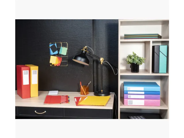 Elastobox Exacompta A4 60mm 600gr Assorti karton