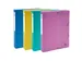Klasseerdoos rug 40m m PP Forever Young