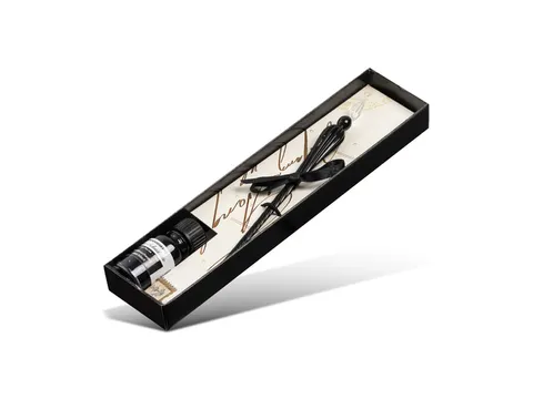 Set de calligraphie Standardgraph noir avec plume en verre et encrier