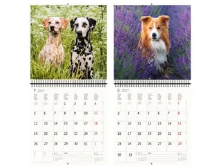 Kalender 2027 Helma 365 30x30cm honden - 2