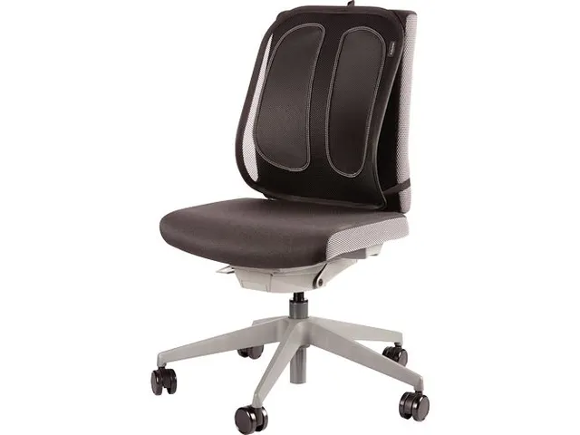 Rugsteun Fellowes Office Suites Gaas 512x409x141 mm zwart