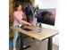 Dubbele Monitorarm R-Go-Tools Caparo 4 gasveer 2 beeldschermen Zwart