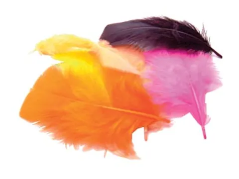 Pluimen 4 Cm, 120 Stuks