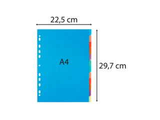 Tabbladen PP Chromaline A4 12 tabs - 4