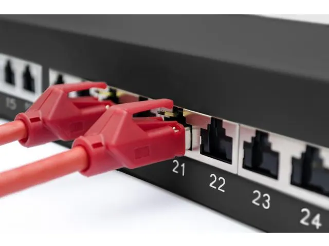 CAT 6A patchpaneel afgeschermd 1U 24-poorts 8P8C 483mm (19 inch) Zwart