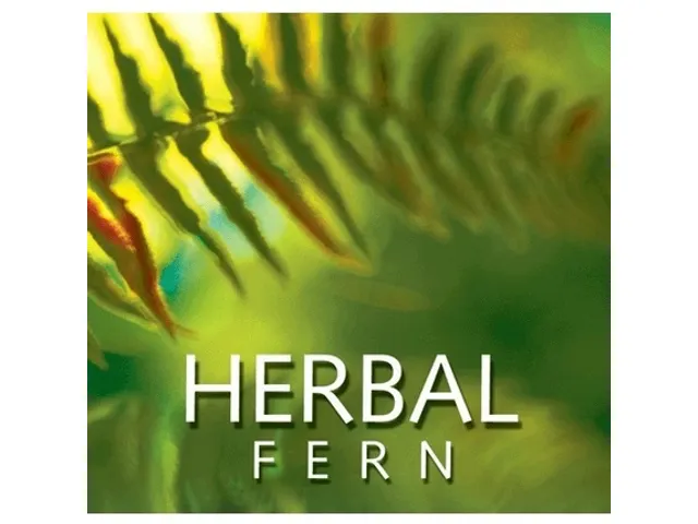Recharge aérosol Micro Airoma Herbal 100 ml