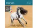 Kalender 2027 Helma 365 30x30cm paarden