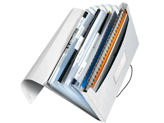 Sorteermap Leitz WOW 6 tabbladen PP wit