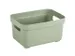 Boîte de rangement Sigma Home 17,7x12,8x9,3cm vert clair 2,5L