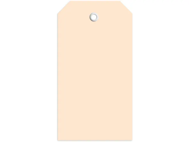 Herma 6018 Hanglabel 60x113mm Bruin karton met plastic oogje 1000 stuk
