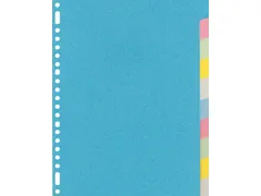 Tabbladen Kangaro A4 23-gaats RY410M 10-delig assorti karton