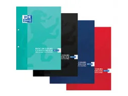 Cursusblok Oxford School A4 2-gaats ruit 5mm 100vel assorti