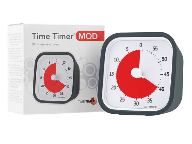 Time Timer MOD home