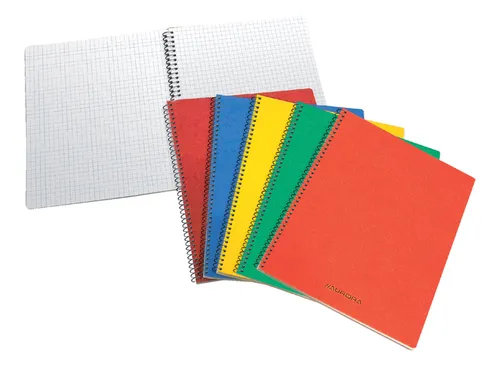 Schrift Aurora 75x110mm ruit 5x5mm 160 pagina's 60gr assorti