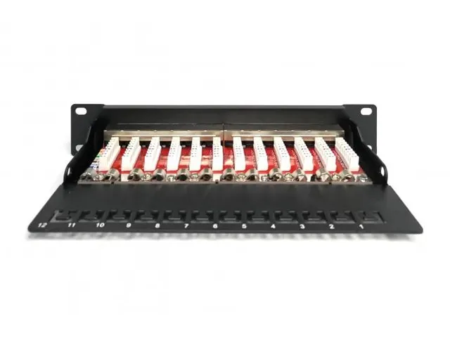 CAT 6A Patchpaneel afgeschermd 12-poorts 1U 10'' rackmontage zwart