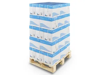 Xerox Business Kopieerpapier A4 80 Gram Pallet - 3