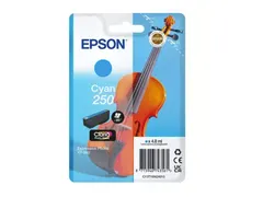 Inktcartridge Epson 250 T16N24 blauw