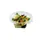 Saladebak IEZZY 500ml rond rPET 50 stuks