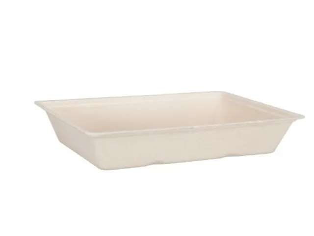Snackbak XL Bagasse Suikerriet A50 doos 8x50st
